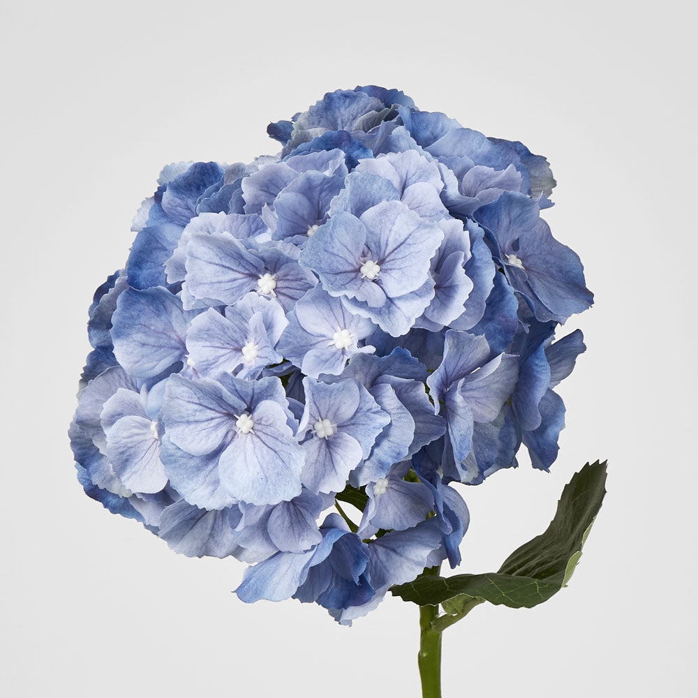 Hydrangea Susan Soft Touch Blue 52cm 6 pcs