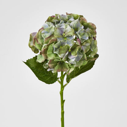 Hydrangea Susan Soft Touch Antique Green 52cm 6 pcs