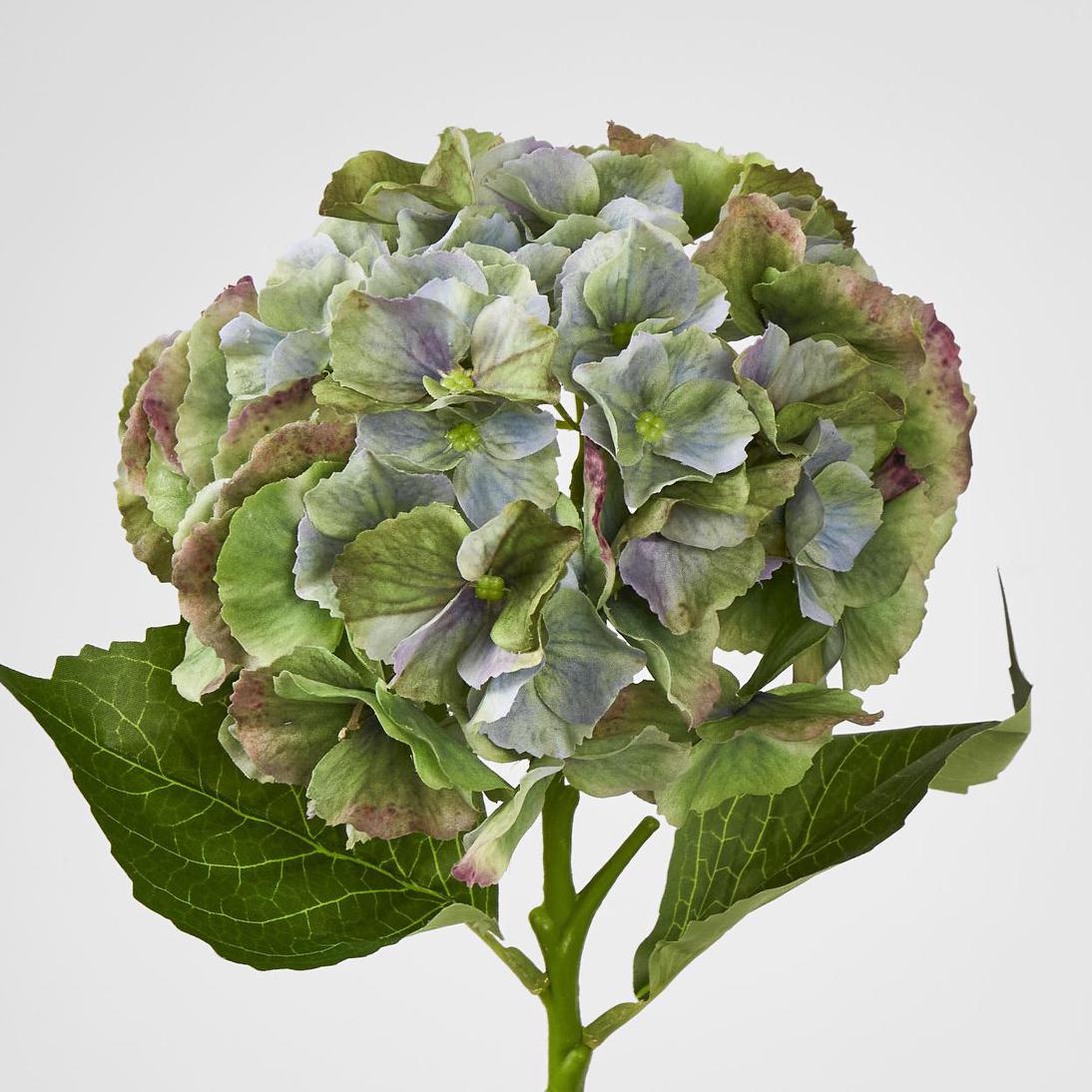 Hydrangea Susan Soft Touch Antique Green 52cm 6 pcs