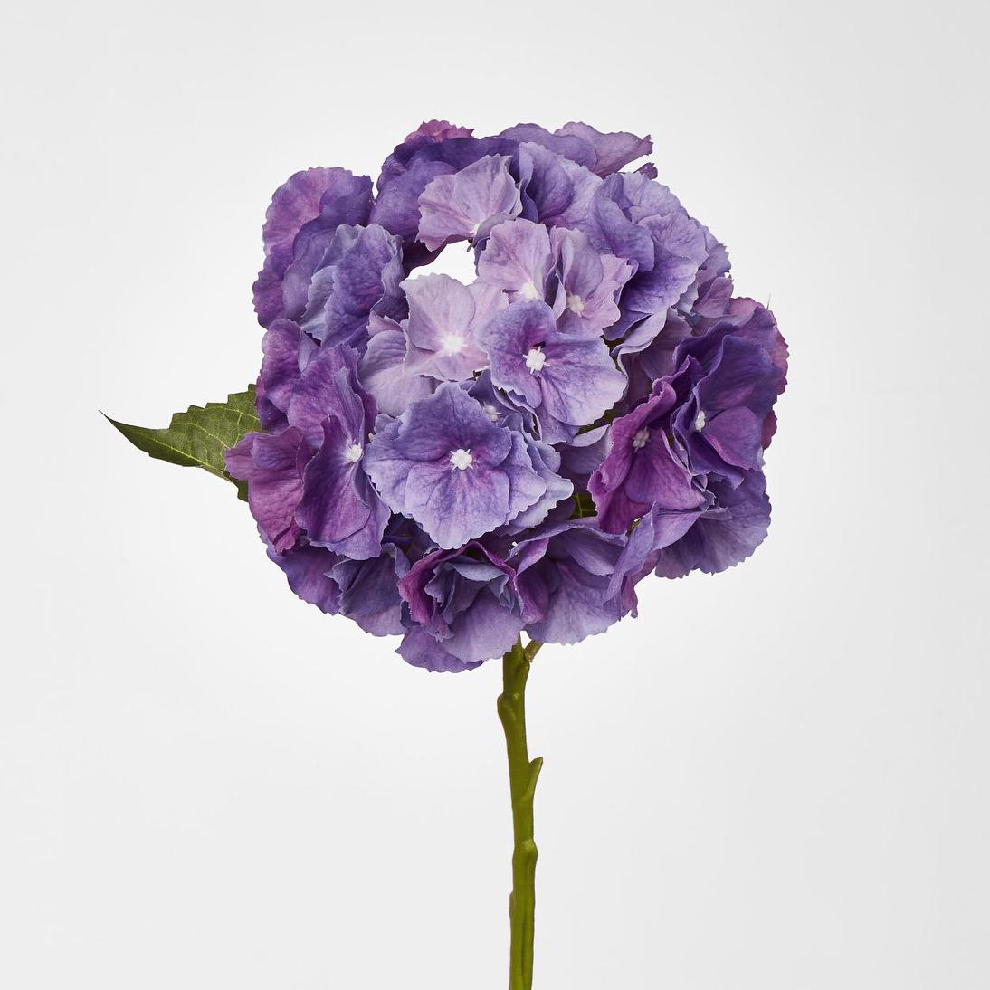 Hydrangea Susan Soft Touch Violet 52cm 6 pcs