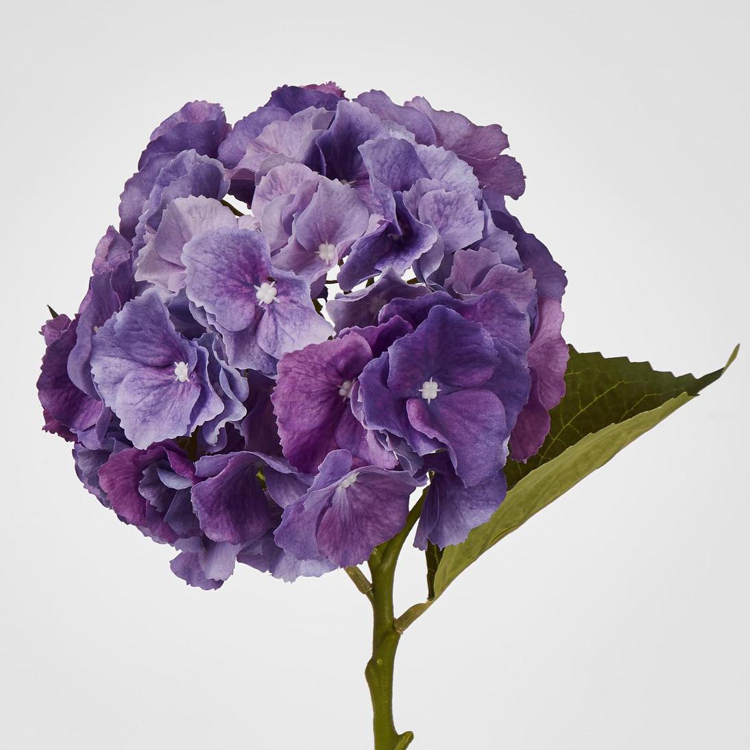 Hydrangea Susan Soft Touch Violet 52cm 6 pcs