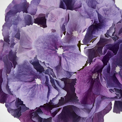 Hydrangea Susan Soft Touch Violet 52cm 6 pcs