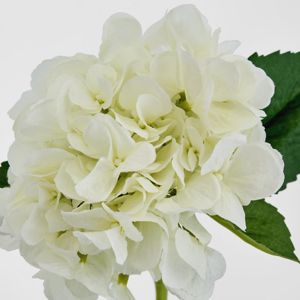 Hydrangea Water 49cm White