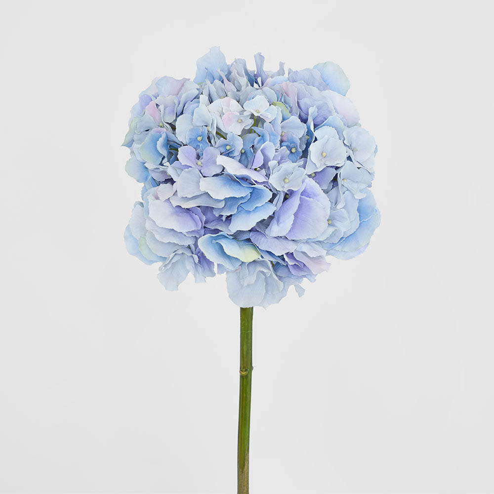 Hydrangea 50cm Light Blue