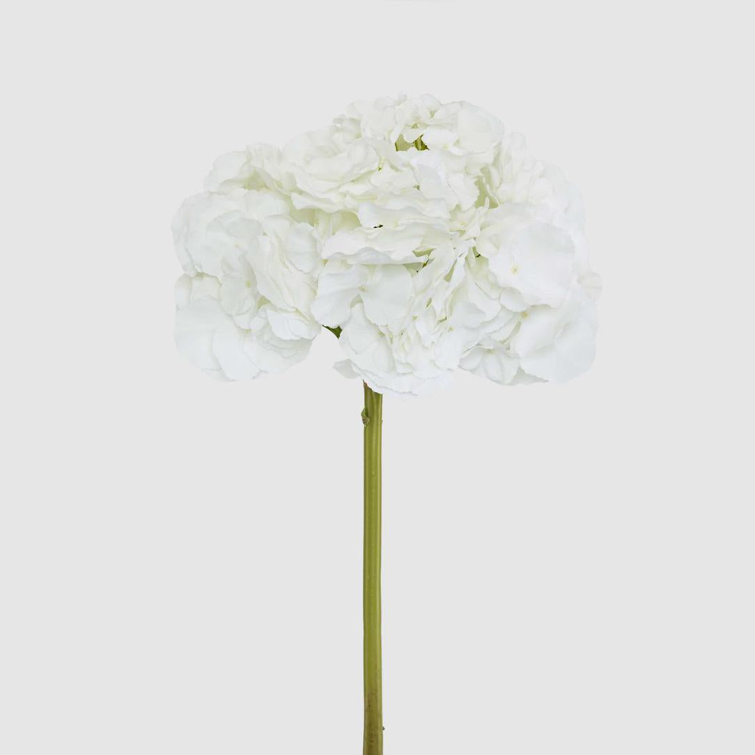 Hydrangea 50cm Snow White