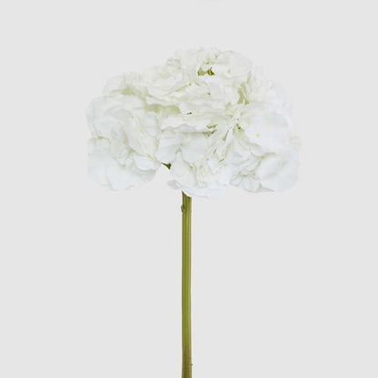 Hydrangea 50cm Snow White