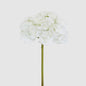 Hydrangea 50cm Snow White
