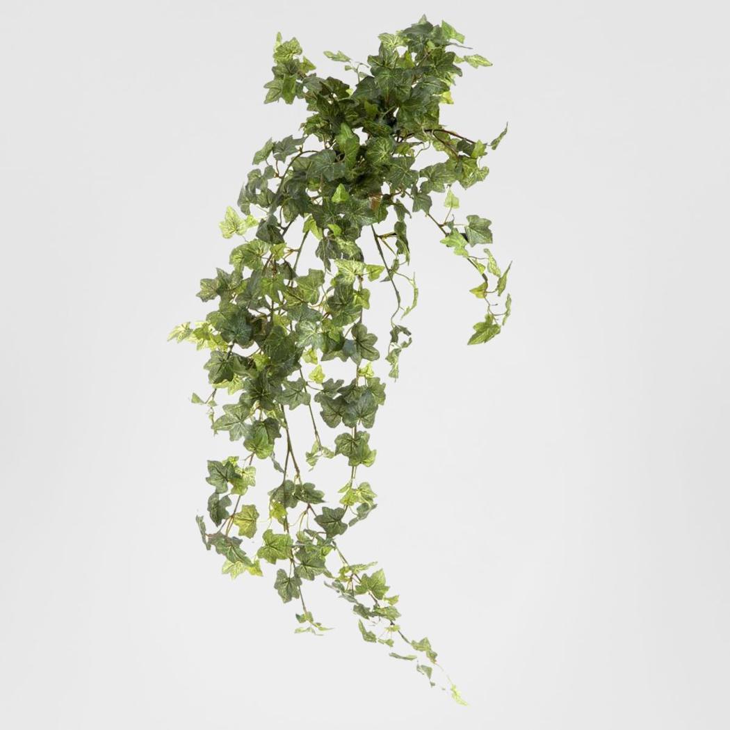 Ivy Bush Hanging Vine 85cm