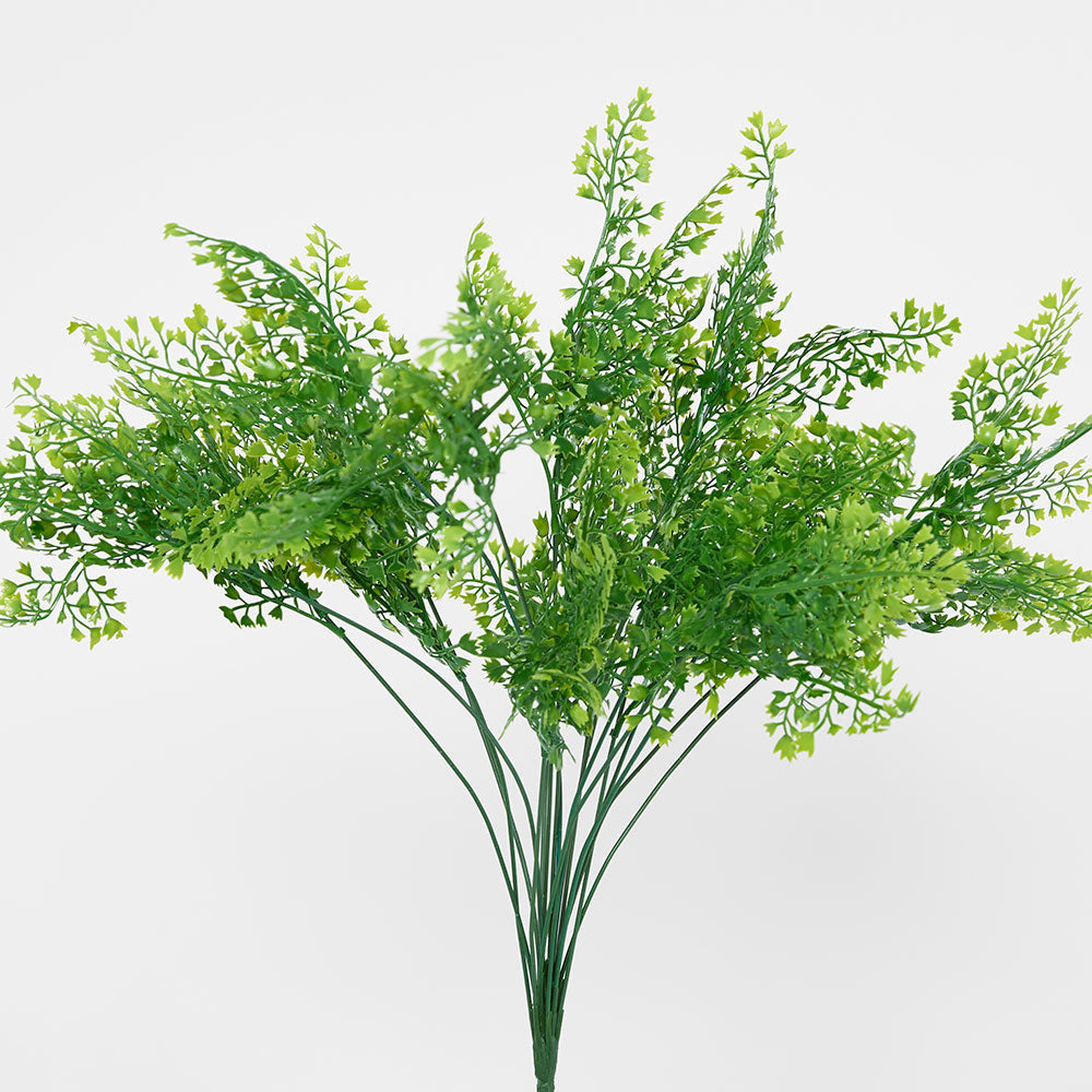 Maidenhair Fern Bush 3 pcs