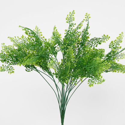 Maidenhair Fern Bush 3 pcs