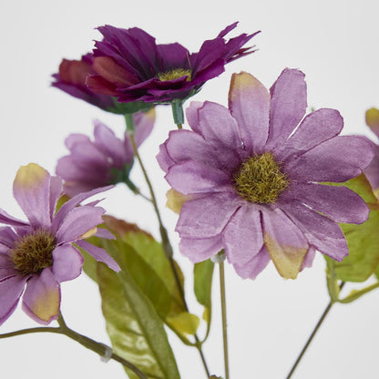 Daisy Bush Assorted 24 pcs