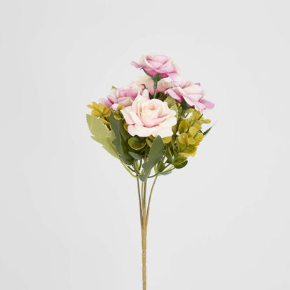 Rose Bush Assorted 24 pcs