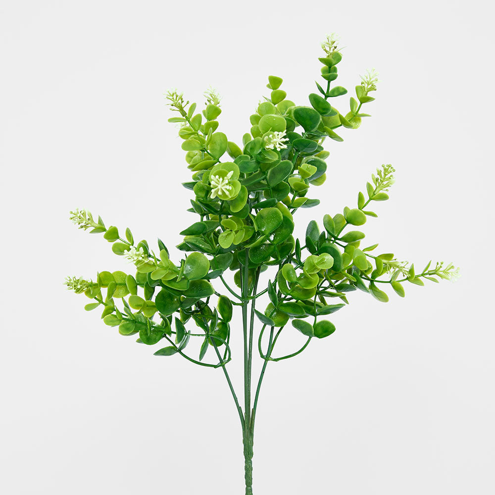Flowering Eucalyptus Bush 2 pcs