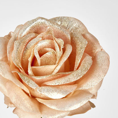Champagne with Champagne Gold Glitter Christmas Venus Rose with 2 sets of Leaves 6 pcs