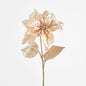 Christmas Poinsettia 6 pcs