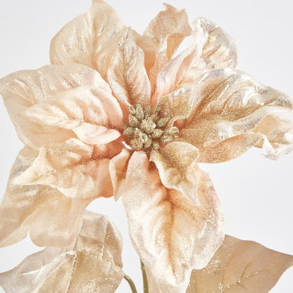 Christmas Poinsettia 6 pcs