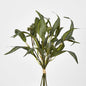 Eucalyptus Seeded Bundle 43cm 12 pcs