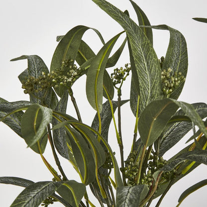 Eucalyptus Seeded Bundle 43cm 12 pcs