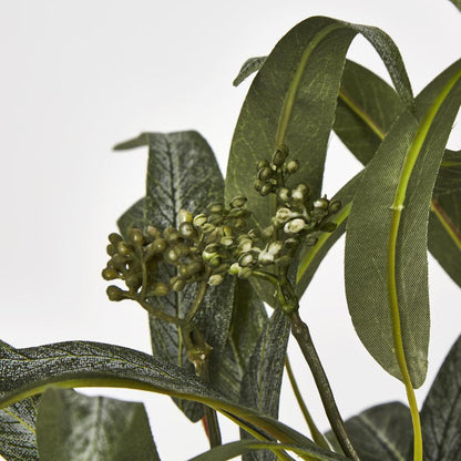 Eucalyptus Seeded Bundle 43cm 12 pcs