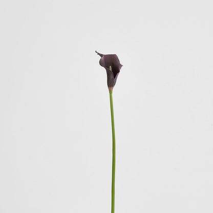Calla Lily Purple 12 pcs