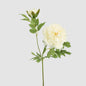 Leafy Peony Flower Stem White 6 pcs