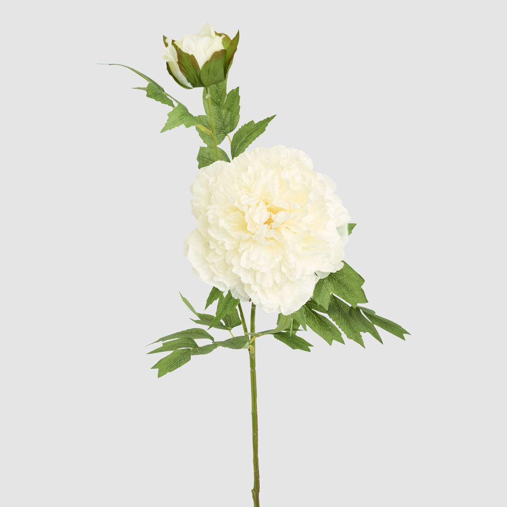 Leafy Peony Flower Stem White 6 pcs