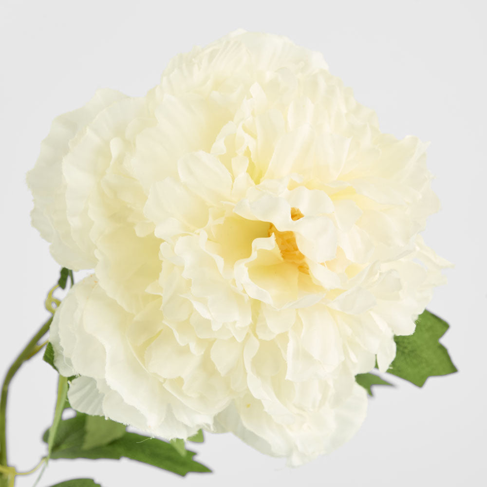 Leafy Peony Flower Stem White 6 pcs