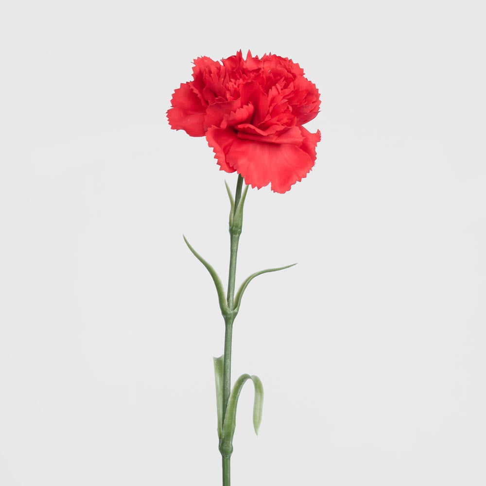 Real Touch Carnation Stem Red 18 pcs