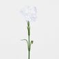Real Touch Carnation Stem White 18 pcs
