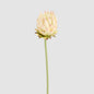 Protea Stem 60cm Light Pink 6 pcs