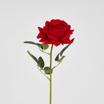 Garden Rose Stem Red 12 pcs