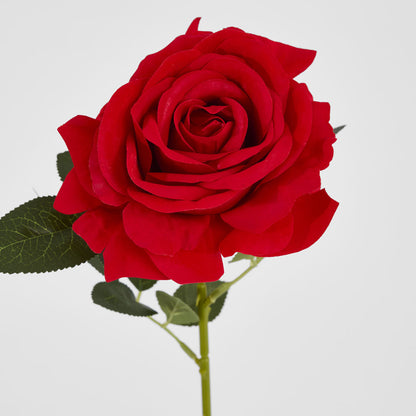 Garden Rose Stem Red 12 pcs