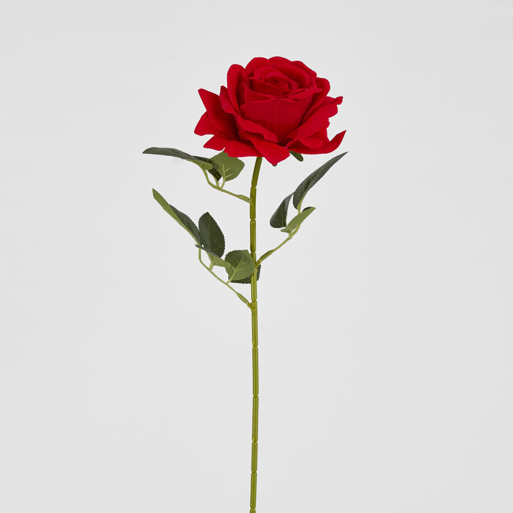 Garden Rose Stem Red 12 pcs