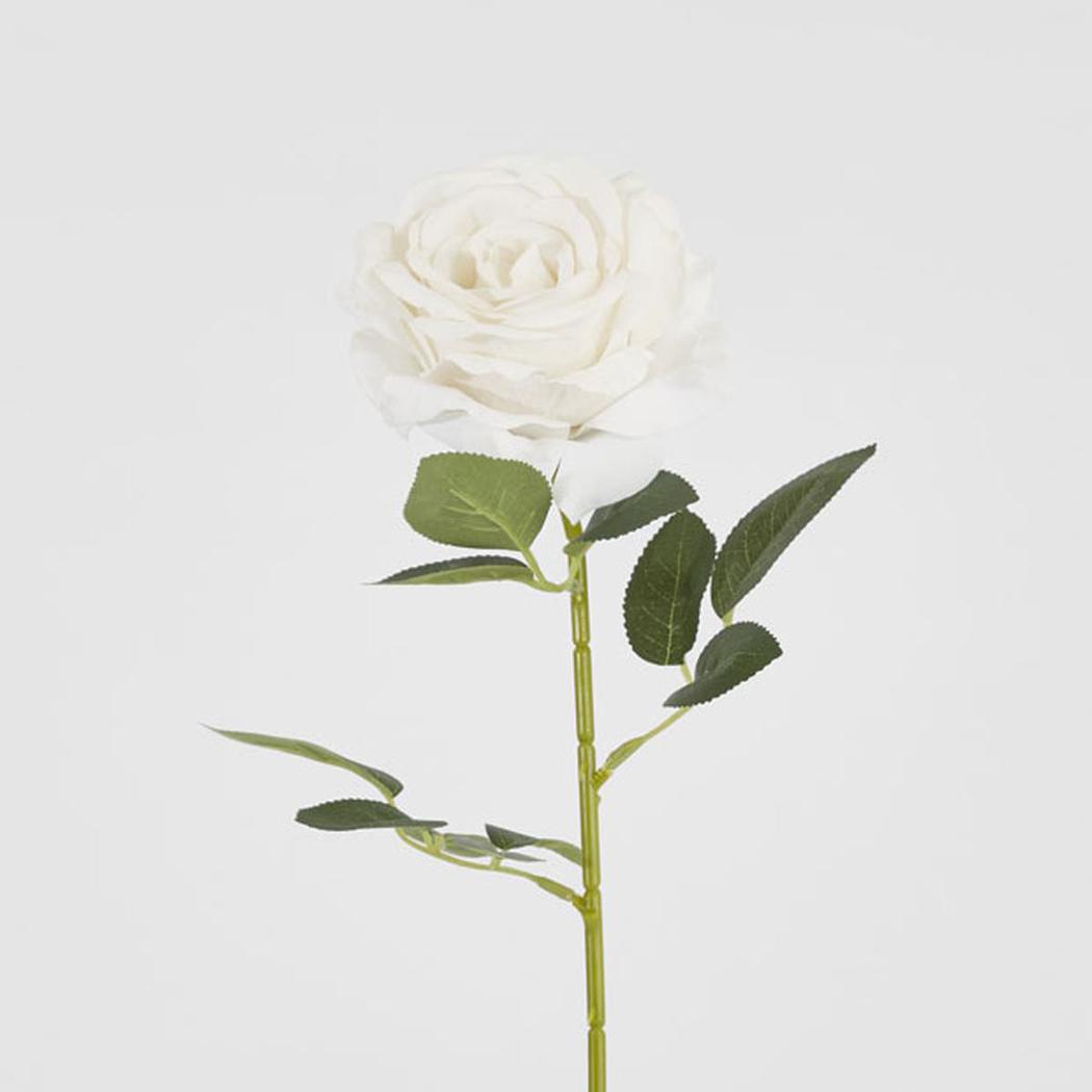 Garden Rose Stem White 12 pcs