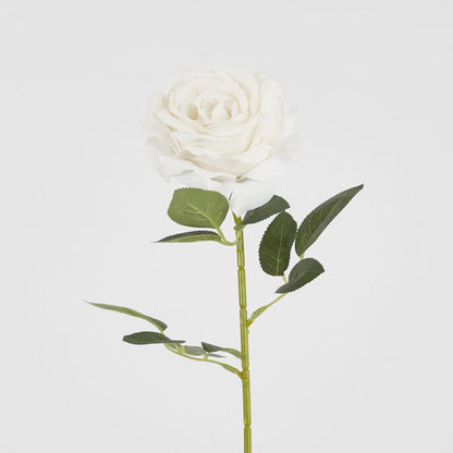 Garden Rose Stem White 12 pcs