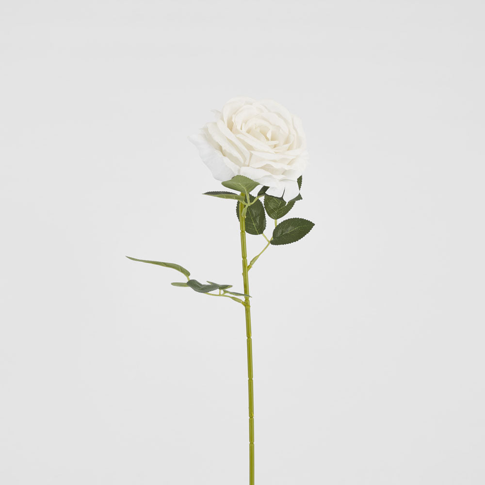 Garden Rose Stem White 12 pcs