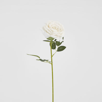 Garden Rose Stem White 12 pcs