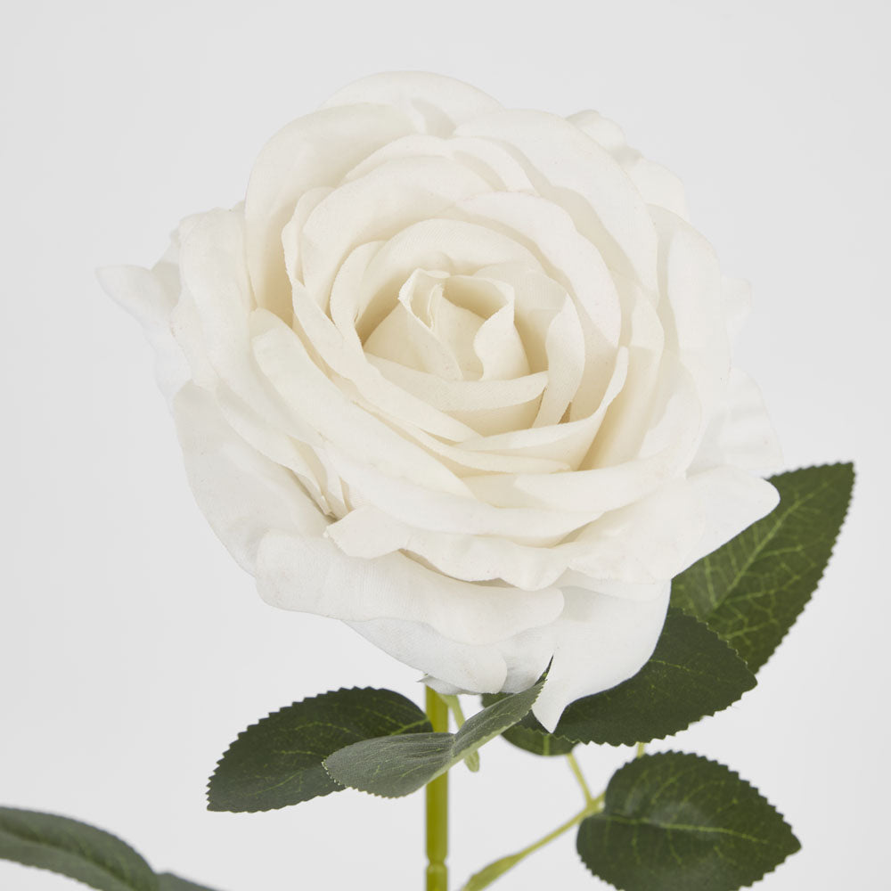 Garden Rose Stem White 12 pcs