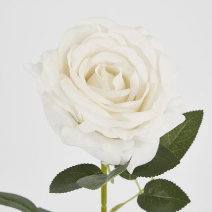 Garden Rose Stem White 12 pcs