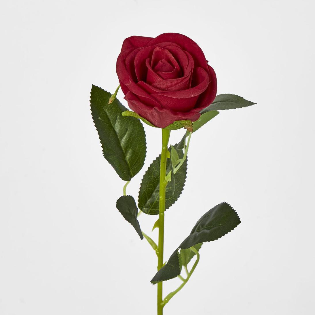 Red Rose Stem 6 pcs