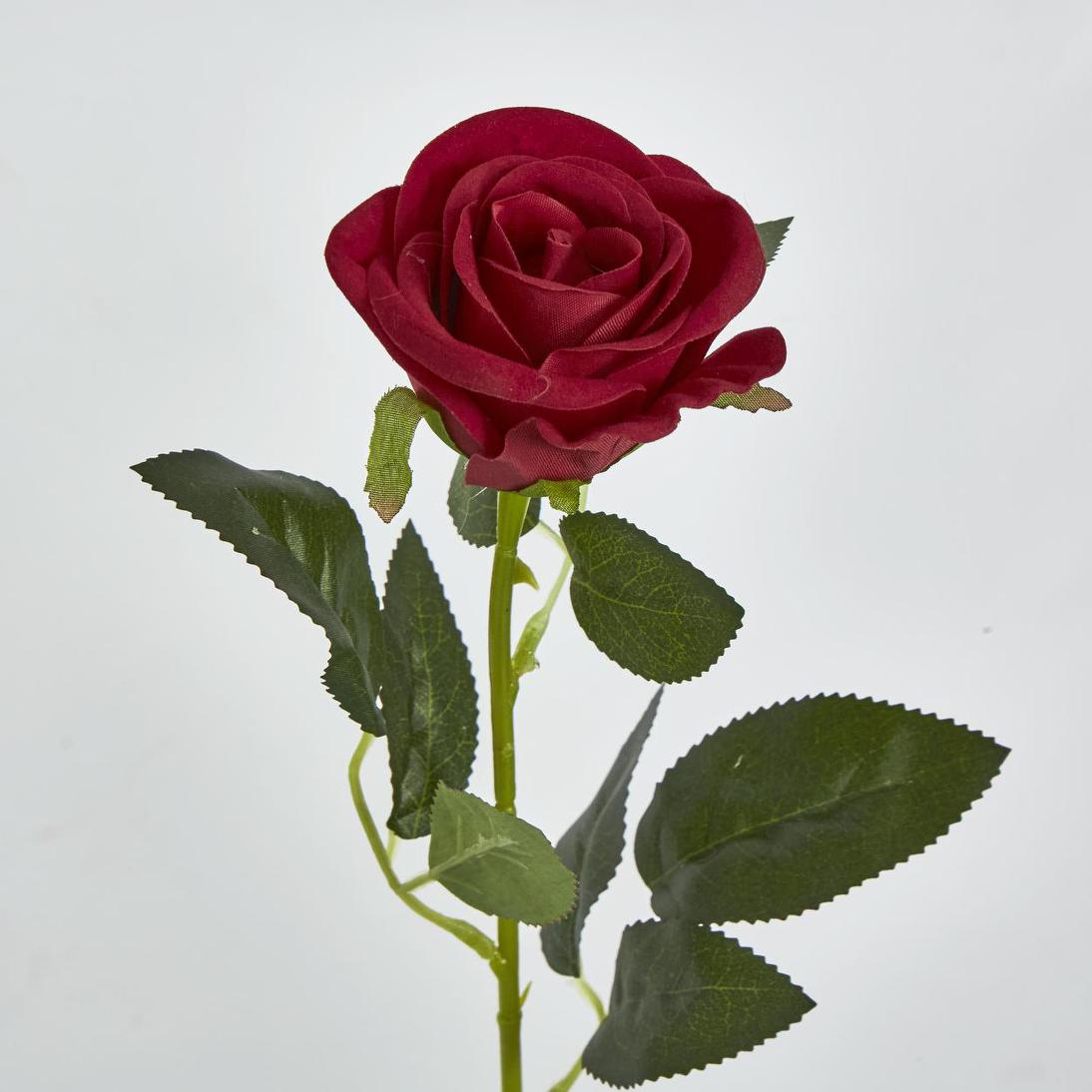 Red Rose Stem 6 pcs