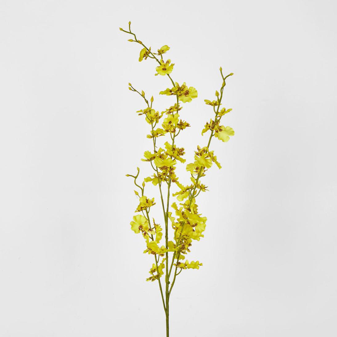 Yellow Dancing Orchid 6 pcs