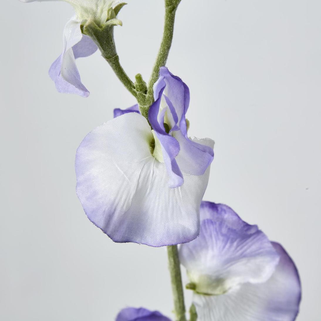 Sweetpea Light Purple 18 pcs