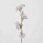 Sweetpea Light Pink 18 pcs