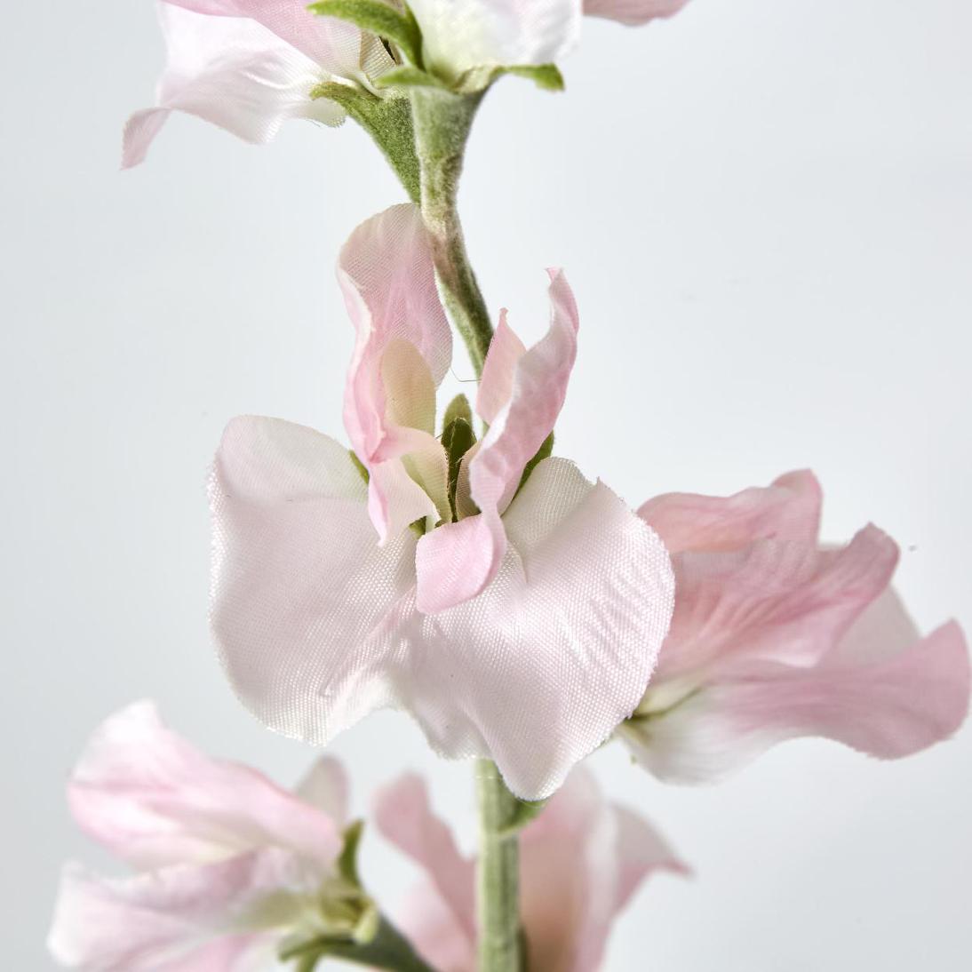 Sweetpea Light Pink 18 pcs
