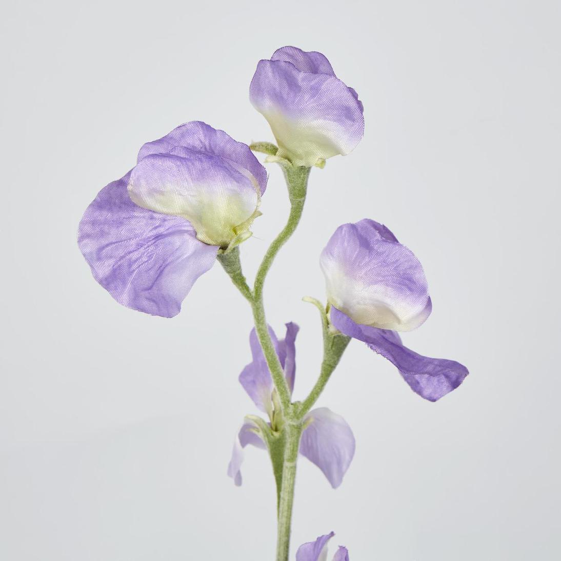 Sweetpea Purple 18 pcs
