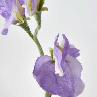 Sweetpea Purple 18 pcs