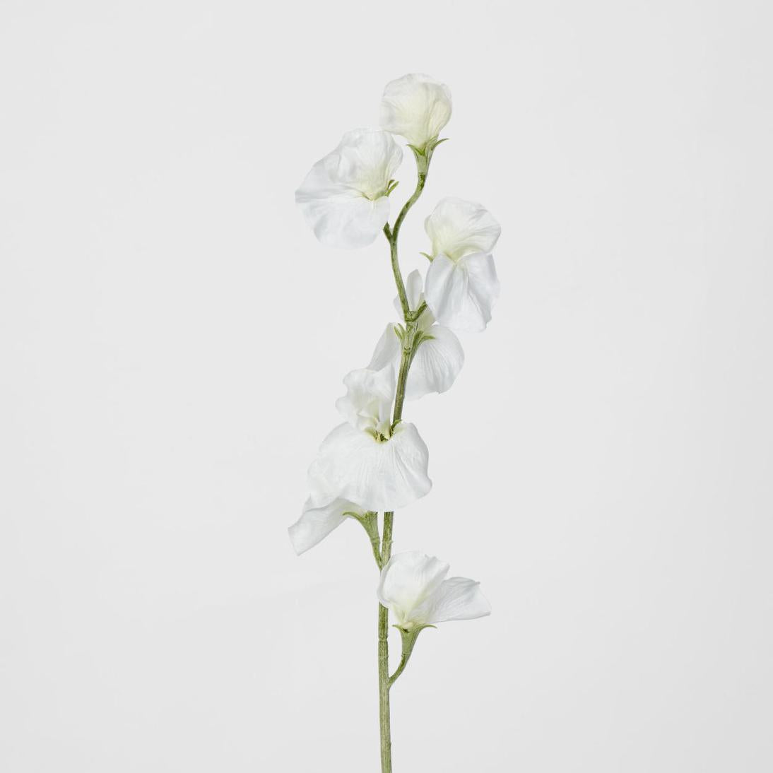 Sweetpea White 18 pcs