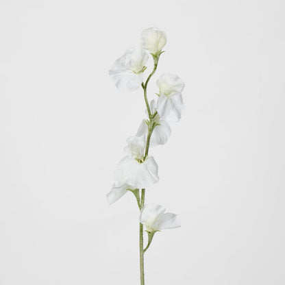 Sweetpea White 18 pcs