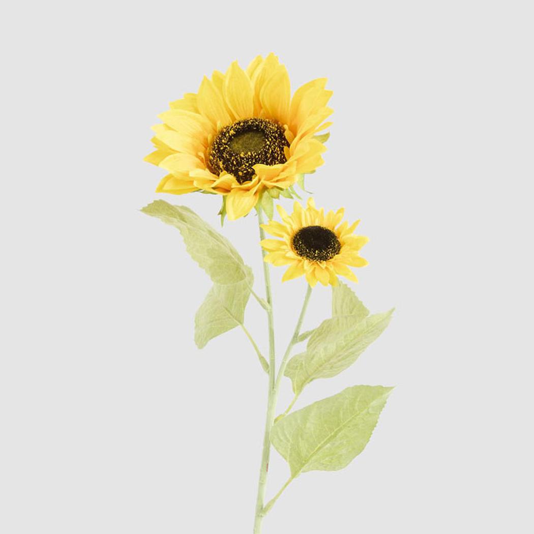 Sunflower Stem With 2 Heads 12 pcs